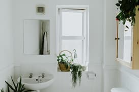 Bathroom Cleaning